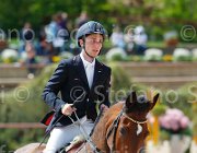 DI PALO BOLERO CampITA2013- S5 0752 : BOLERO VAN'T STENENPOORT, Campionati Italiani 2013, Cattolica, DI PALO ANIELLO, Horse Riviera Resort, foto di Stefano Secchi ©